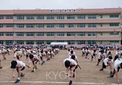 高校体育祭-2022-18.jpg