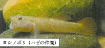 0130快音生物⑤.png