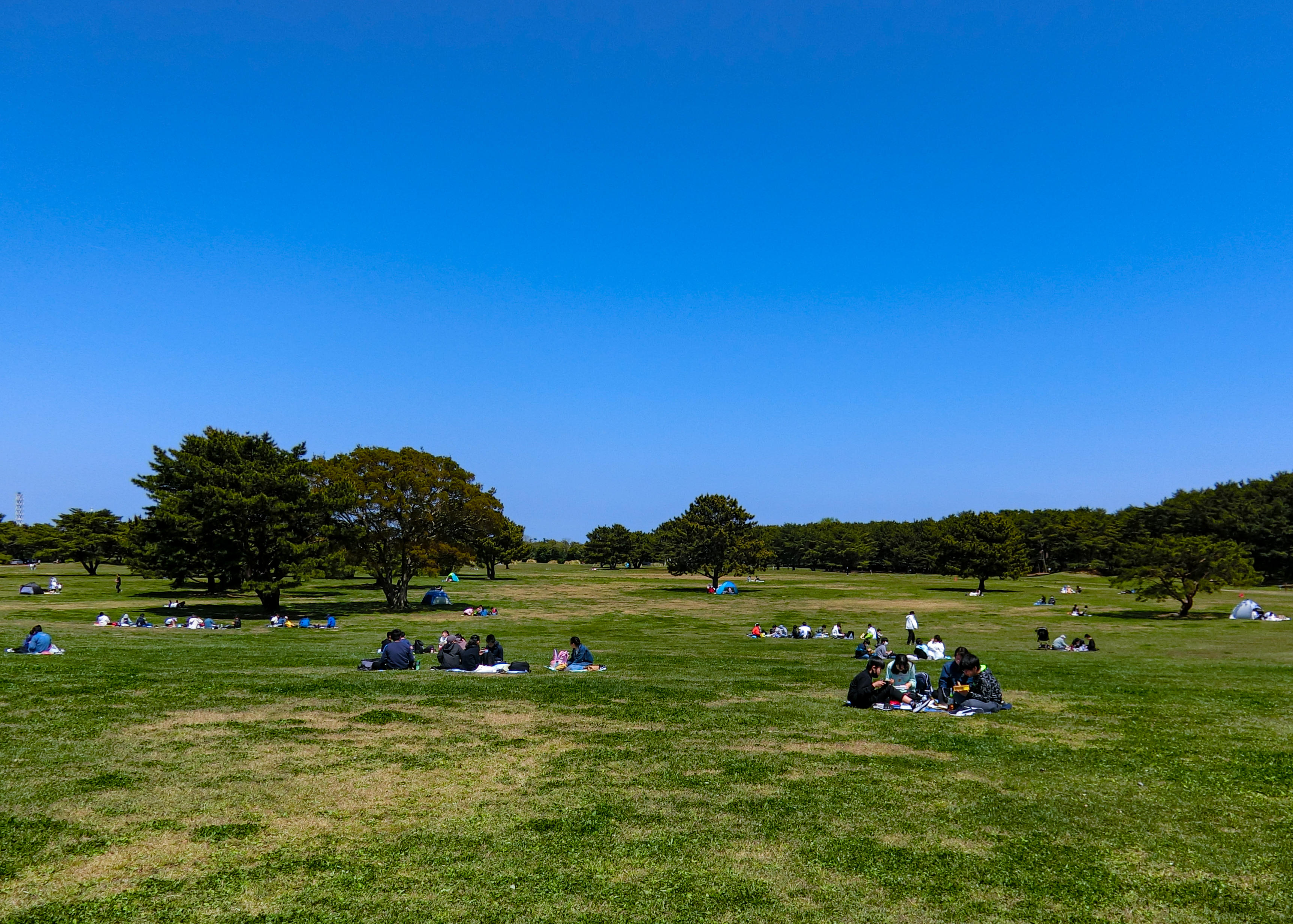 1年ひたち-9.jpg