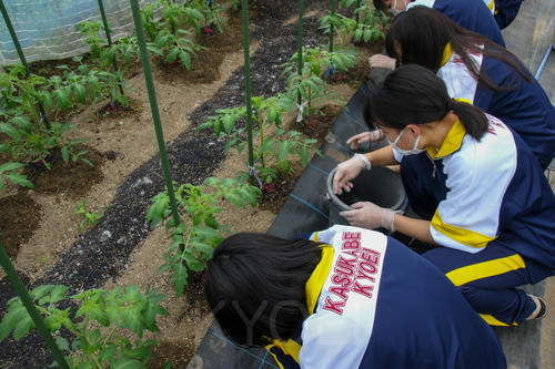 林間学校D3-5.jpg