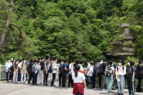 Image_20220711_165756.jpeg