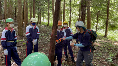 Image_20220713_163442.jpeg