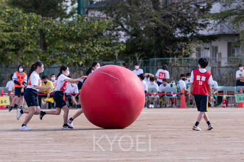 2022中学体育祭-HP-32.jpg